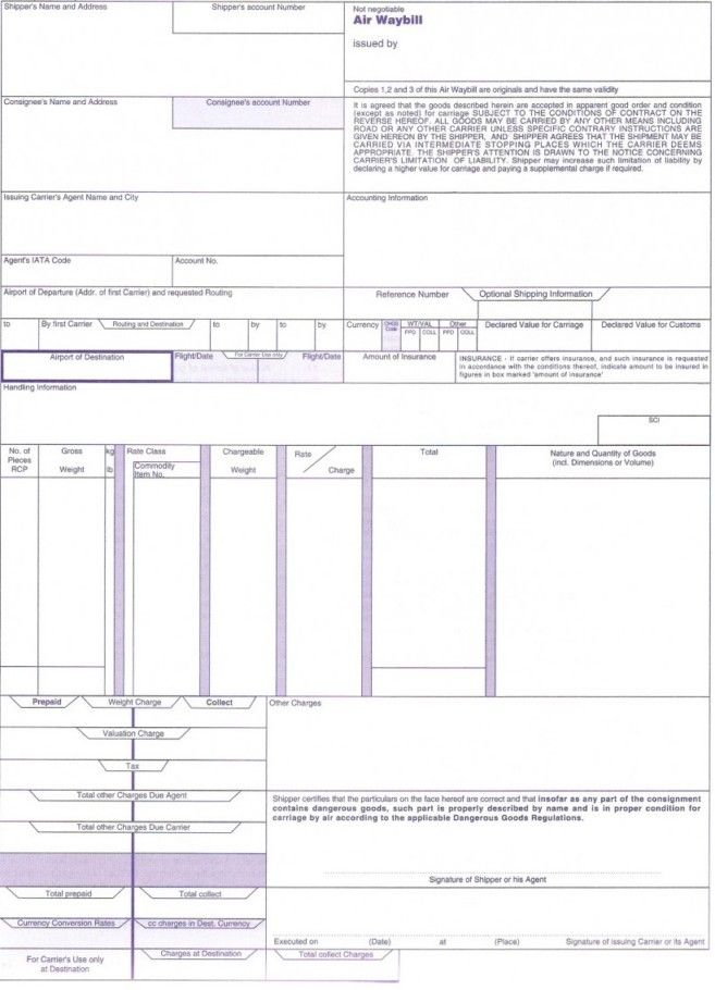 Export Preview Logistics Operational Guide