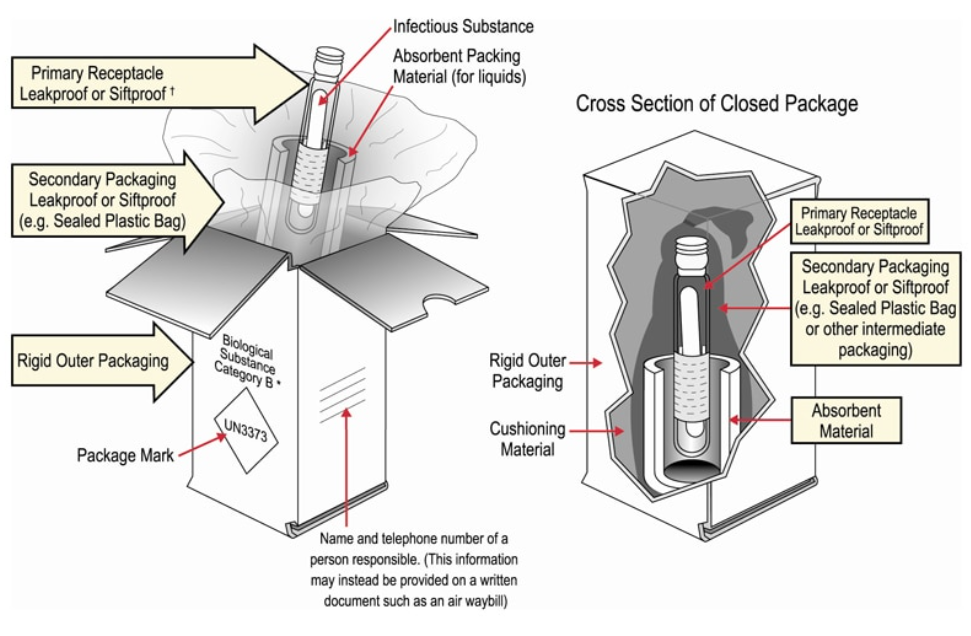 A diagram of a package

Description automatically generated