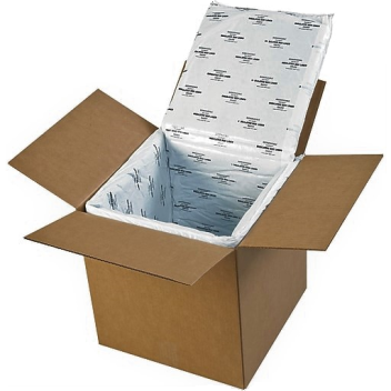 Disposable Insulated Box